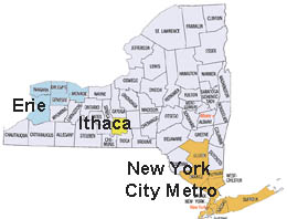 New York Regions